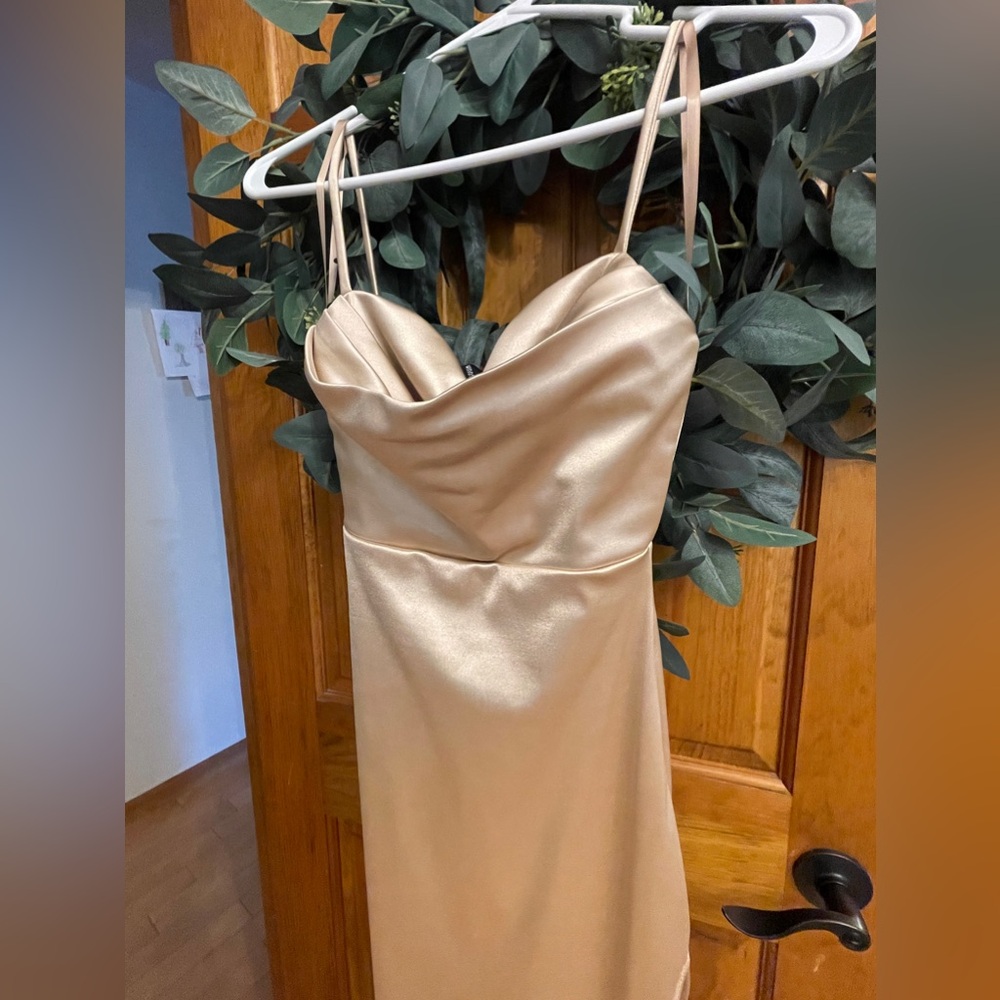 Champagne Dress - Picture 2 of 3